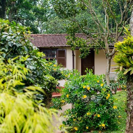 Casa Do Lenhador Villa Petrópolis Kültér fotó